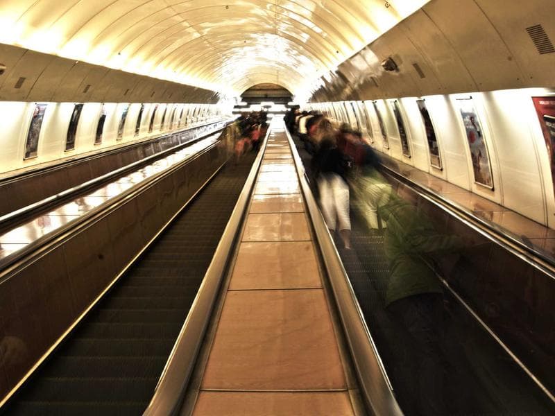 المطعم الرئيسي