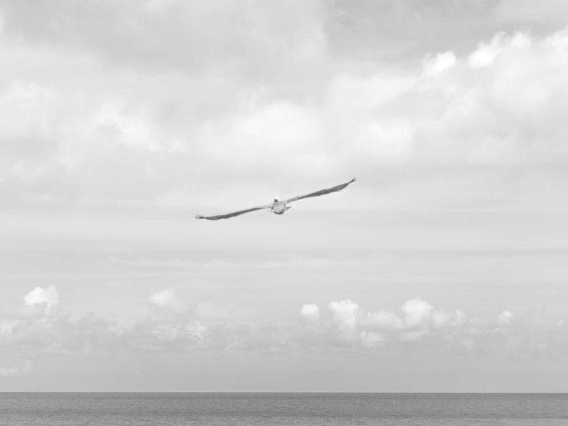 واجهة الفندق