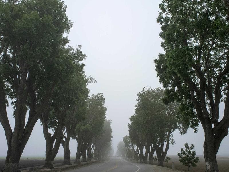 عرض الإقامة الطويلة